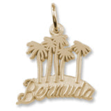 3574 - Bermuda Map W/Palms