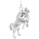 Silver ARIES CHARM