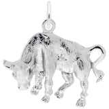 Silver TAURUS CHARM