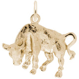 10 KT TAURUS CHARM