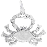 Silver CANCER CHARM