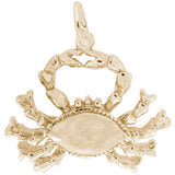 14 KT CANCER CHARM