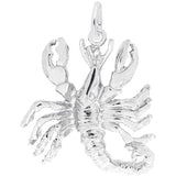 14 KT SCORPIO CHARM
