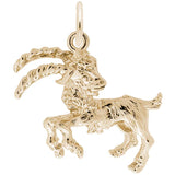 10 KT CAPRICORN CHARM