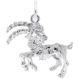 14 KT CAPRICORN CHARM