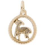 10 KT ARIES CHARM