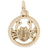 14 KT CANCER CHARM