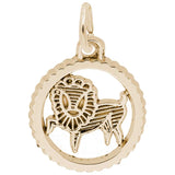 10 KT LEO CHARM