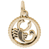 10 KT SCORPIO CHARM