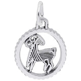 14 KT CAPRICORN CHARM
