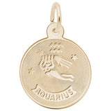 14 KT AQUARIUS CHARM