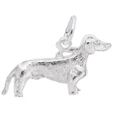DACHSHUND DOG