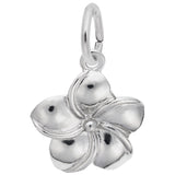Silver PLUMERIA FLOWER CHARM