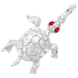 Silver TURTLE CHARM