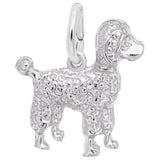 POODLE